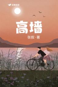 高墙边的混乱第二季完整版观看